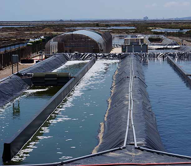 film_polietileno_negro_estanques