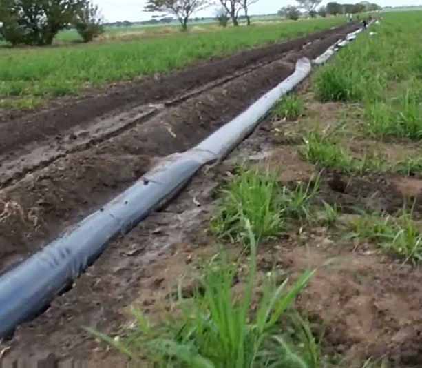 film_polietileno_invernaderos_horticultura