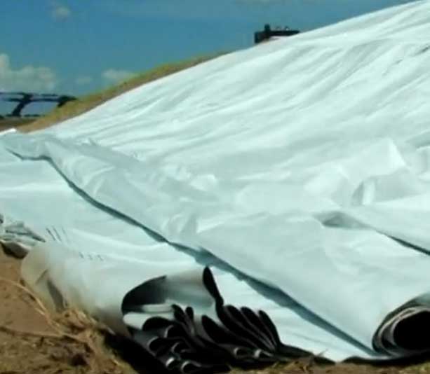 film_invernadero_aerea