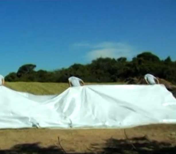 film_polietileno_invernaderos_lateral