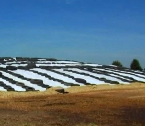 film_polietileno_invernaderos_horticultura